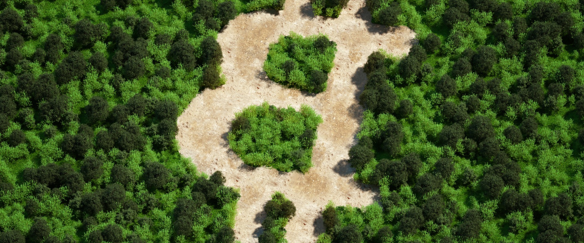 Where does crypto go?