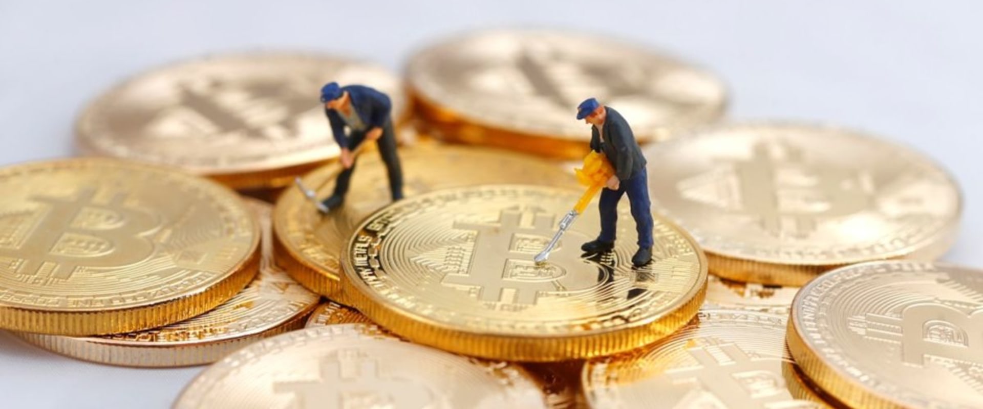 Where does crypto money go?