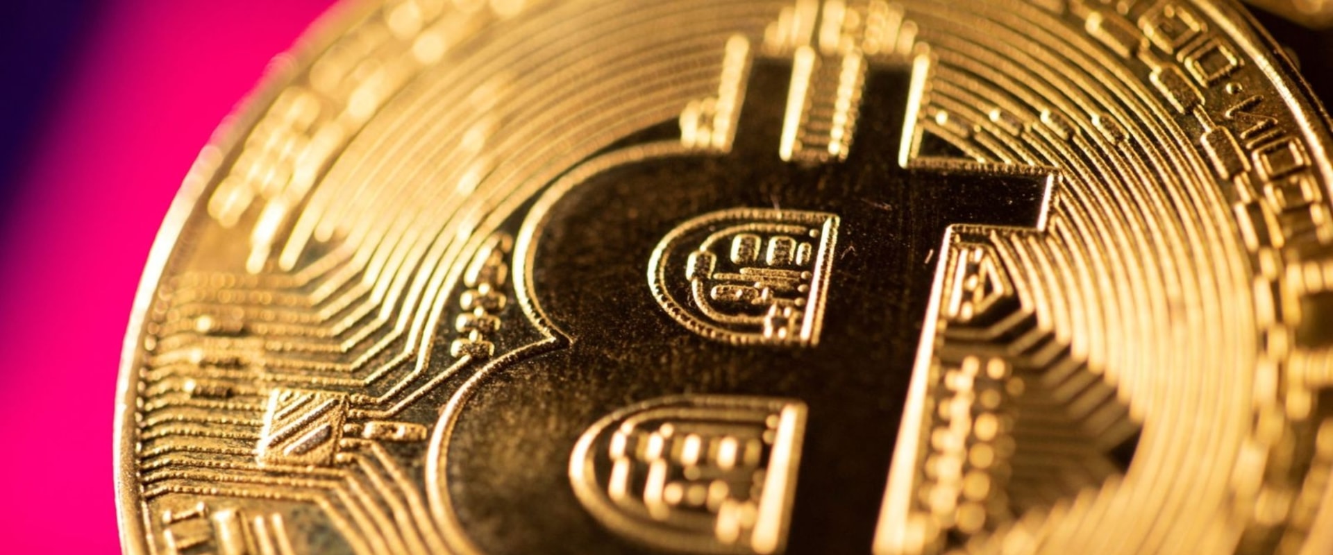 Will cryptocurrencies rise again?